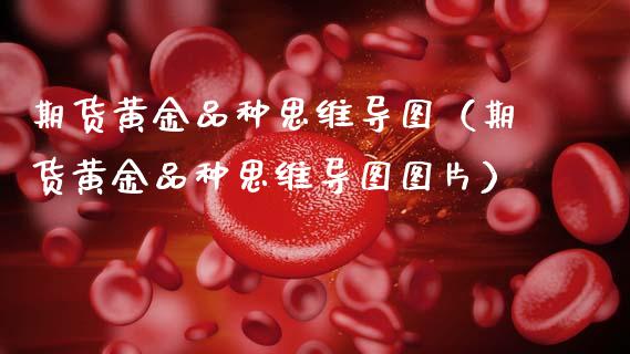 期货黄金品种思维导图（期货黄金品种思维导图图片）_https://www.kuaijiepai.net_国际期货_第1张