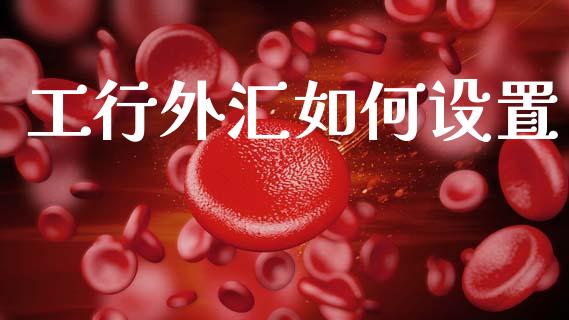 工行外汇如何设置_https://www.kuaijiepai.net_期货理财_第1张