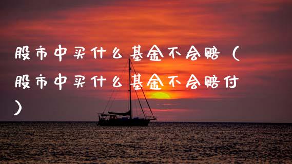股市中买什么基金不会赔（股市中买什么基金不会赔付）_https://www.kuaijiepai.net_期货理财_第1张