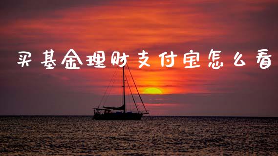 买基金理财支付宝怎么看_https://www.kuaijiepai.net_期货理财_第1张