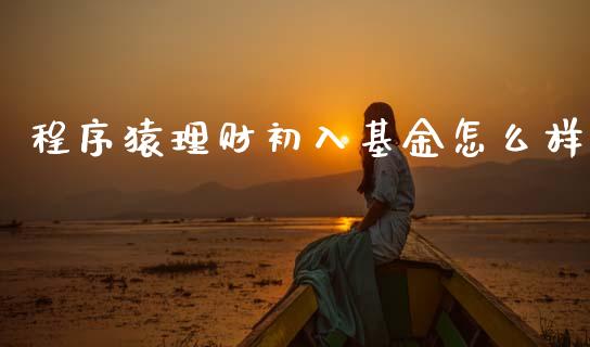 程序猿理财初入基金怎么样_https://www.kuaijiepai.net_期货理财_第1张