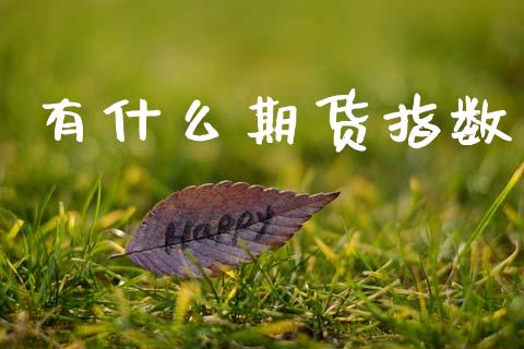 有什么期货指数_https://www.kuaijiepai.net_国际期货_第1张