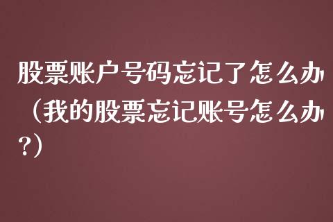 股票账户号码忘记了怎么办（我的股票忘记账号怎么办?）_https://www.kuaijiepai.net_新股新闻_第1张