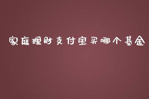 家庭理财支付宝买哪个基金_https://www.kuaijiepai.net_投资理财_第1张