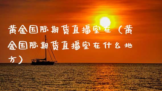 黄金国际期货直播室在（黄金国际期货直播室在什么地方）_https://www.kuaijiepai.net_期货在线_第1张