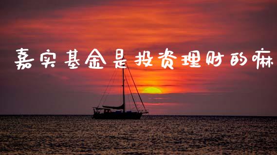 嘉实基金是投资理财的嘛_https://www.kuaijiepai.net_投资理财_第1张