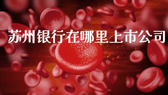 苏州银行在哪里上市公司_https://www.kuaijiepai.net_股票理论_第1张