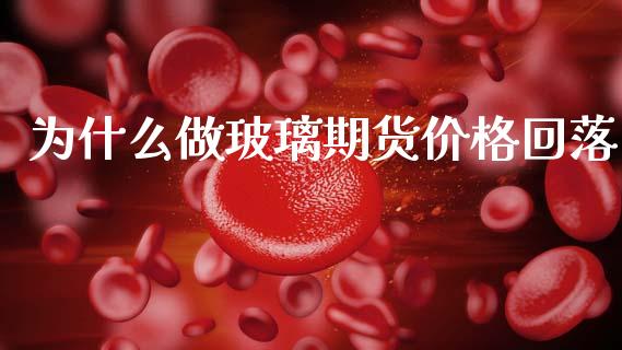 为什么做玻璃期货价格回落_https://www.kuaijiepai.net_国际期货_第1张