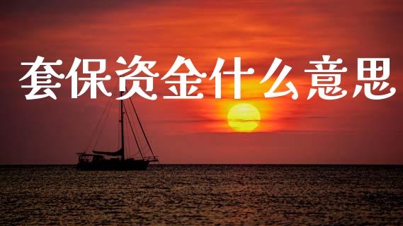 套保资金什么意思_https://www.kuaijiepai.net_国际股建_第1张