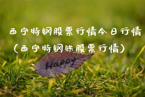 西宁特钢股票行情今日行情（西宁特钢铁股票行情）_https://www.kuaijiepai.net_新股新闻_第1张