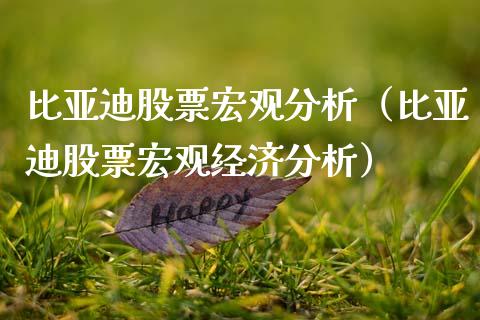 比亚迪股票宏观分析（比亚迪股票宏观经济分析）_https://www.kuaijiepai.net_股票理论_第1张