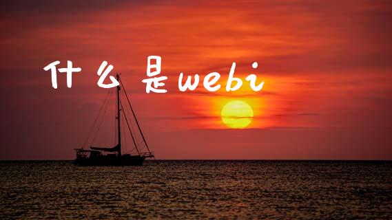 什么是webi_https://www.kuaijiepai.net_期货在线_第1张