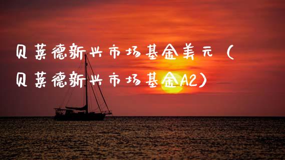 贝莱德新兴市场基金美元（贝莱德新兴市场基金A2）_https://www.kuaijiepai.net_投资理财_第1张