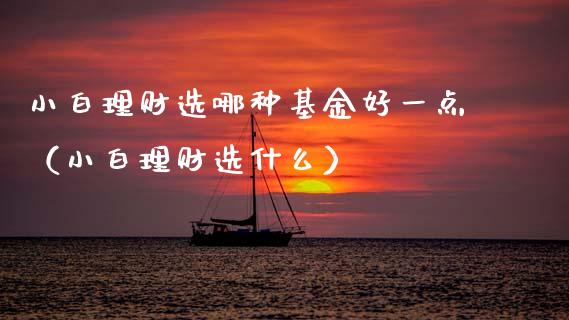 小白理财选哪种基金好一点（小白理财选什么）_https://www.kuaijiepai.net_期货理财_第1张