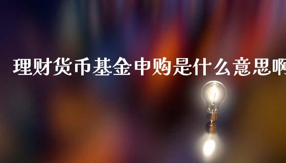 理财货币基金申购是什么意思啊_https://www.kuaijiepai.net_期货理财_第1张