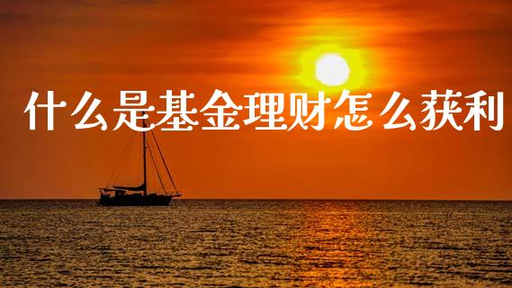 什么是基金理财怎么获利_https://www.kuaijiepai.net_期货理财_第1张