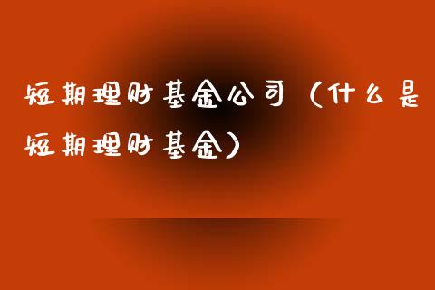 短期理财基金公司（什么是短期理财基金）_https://www.kuaijiepai.net_投资理财_第1张