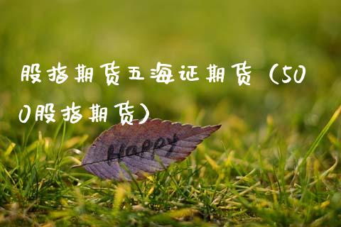 股指期货五海证期货（500股指期货）_https://www.kuaijiepai.net_期货资讯_第1张