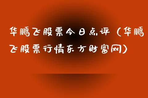 华鹏飞股票今日点评（华鹏飞股票行情东方财富网）_https://www.kuaijiepai.net_新股新闻_第1张