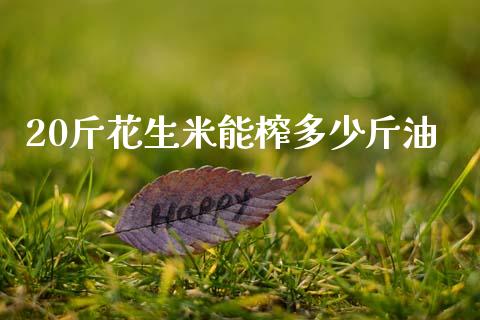 20斤花生米能榨多少斤油_https://www.kuaijiepai.net_国际期货_第1张