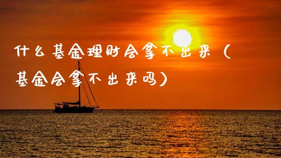 什么基金理财会拿不出来（基金会拿不出来吗）_https://www.kuaijiepai.net_投资理财_第1张