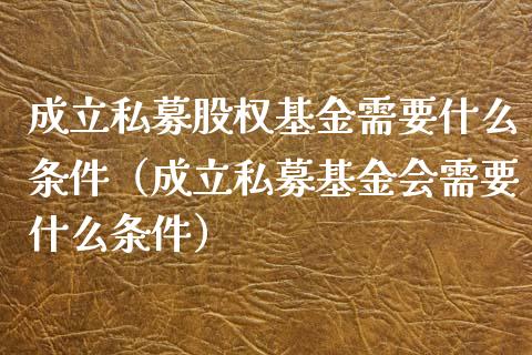 成立私募股权基金需要什么条件（成立私募基金会需要什么条件）_https://www.kuaijiepai.net_投资理财_第1张