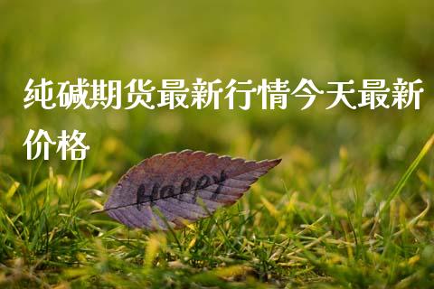 纯碱期货最新行情今天最新价格_https://www.kuaijiepai.net_国际期货_第1张
