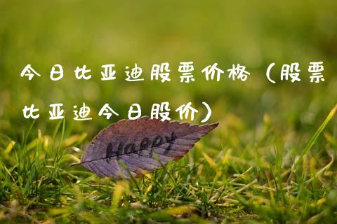 今日比亚迪股票价格（股票比亚迪今日股价）_https://www.kuaijiepai.net_新股新闻_第1张
