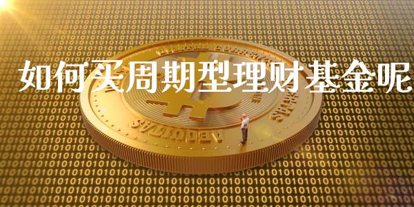 如何买周期型理财基金呢_https://www.kuaijiepai.net_投资理财_第1张