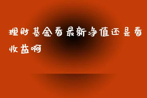 理财基金看最新净值还是看收益啊_https://www.kuaijiepai.net_投资理财_第1张