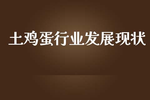 土鸡蛋行业发展现状_https://www.kuaijiepai.net_期货资讯_第1张