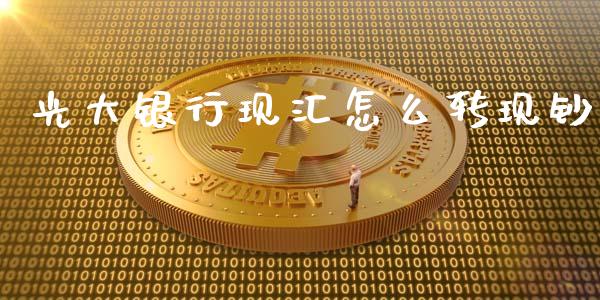 光大银行现汇怎么转现钞_https://www.kuaijiepai.net_期货理财_第1张