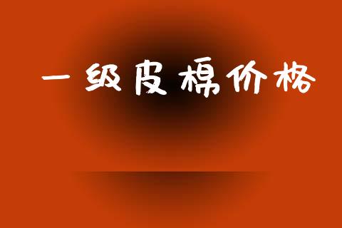 一级皮棉价格_https://www.kuaijiepai.net_期货资讯_第1张