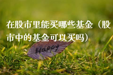 在股市里能买哪些基金（股市中的基金可以买吗）_https://www.kuaijiepai.net_投资理财_第1张