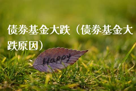 债券基金大跌（债券基金大跌原因）_https://www.kuaijiepai.net_投资理财_第1张