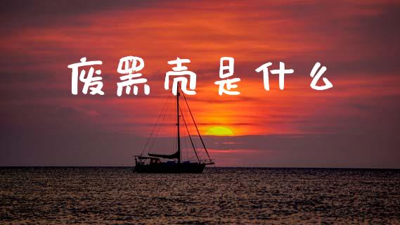 废黑壳是什么_https://www.kuaijiepai.net_国际期货_第1张