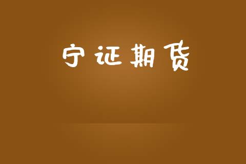 宁证期货_https://www.kuaijiepai.net_期货资讯_第1张