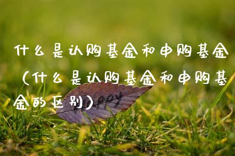什么是认购基金和申购基金（什么是认购基金和申购基金的区别）_https://www.kuaijiepai.net_投资理财_第1张
