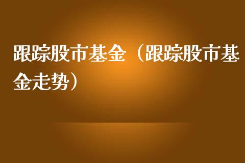 跟踪股市基金（跟踪股市基金走势）_https://www.kuaijiepai.net_投资理财_第1张
