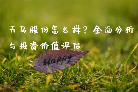 天马股份怎么样？全面分析与投资价值评估_https://www.kuaijiepai.net_国际股建_第1张