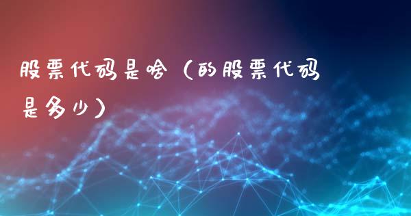 股票代码是啥（的股票代码是多少）_https://www.kuaijiepai.net_股票理论_第1张