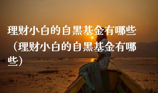 理财小白的自黑基金有哪些（理财小白的自黑基金有哪些）_https://www.kuaijiepai.net_期货理财_第1张