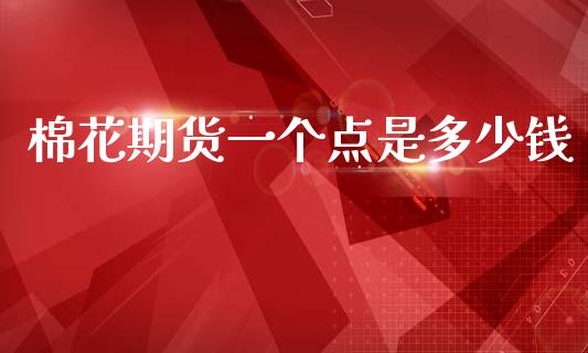 棉花期货一个点是多少钱_https://www.kuaijiepai.net_期货资讯_第1张