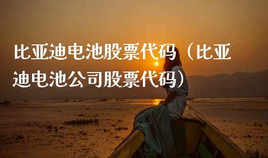 比亚迪电池股票代码（比亚迪电池公司股票代码）_https://www.kuaijiepai.net_国际股建_第1张