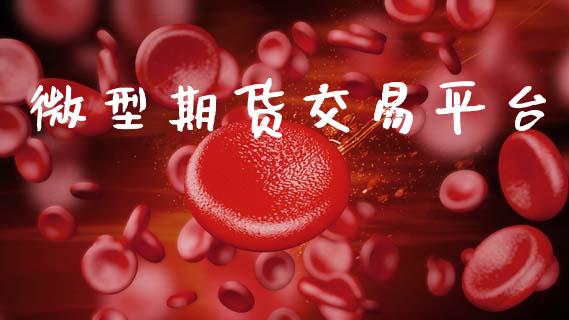 微型期货交易平台_https://www.kuaijiepai.net_期货资讯_第1张