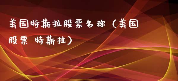美国特斯拉股票名称（美国股票 特斯拉）_https://www.kuaijiepai.net_股票理论_第1张