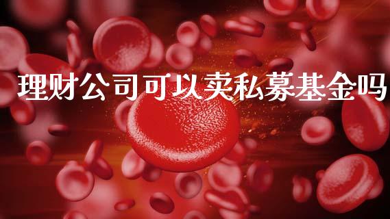 理财公司可以卖私募基金吗_https://www.kuaijiepai.net_期货理财_第1张