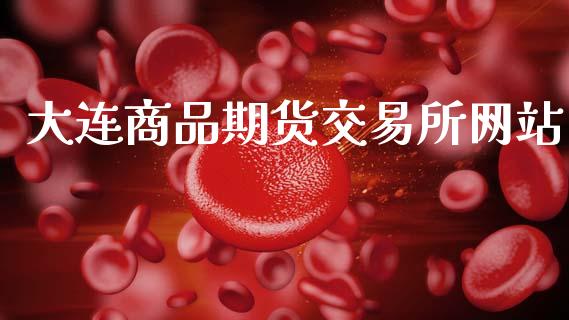大连商品期货交易所网站_https://www.kuaijiepai.net_国际期货_第1张
