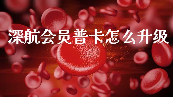深航会员普卡怎么升级_https://www.kuaijiepai.net_股票理论_第1张