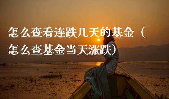 怎么查看连跌几天的基金（怎么查基金当天涨跌）_https://www.kuaijiepai.net_期货理财_第1张